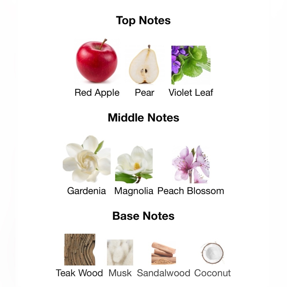 Banana Republic Wildbloom Vert Fragrance 🤍🌿✨ - Picture 5 of 5